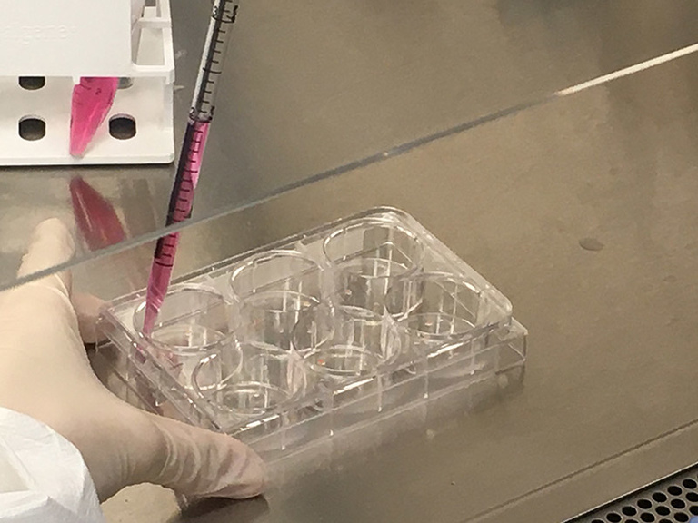 Pipetting media into tissue culture wells